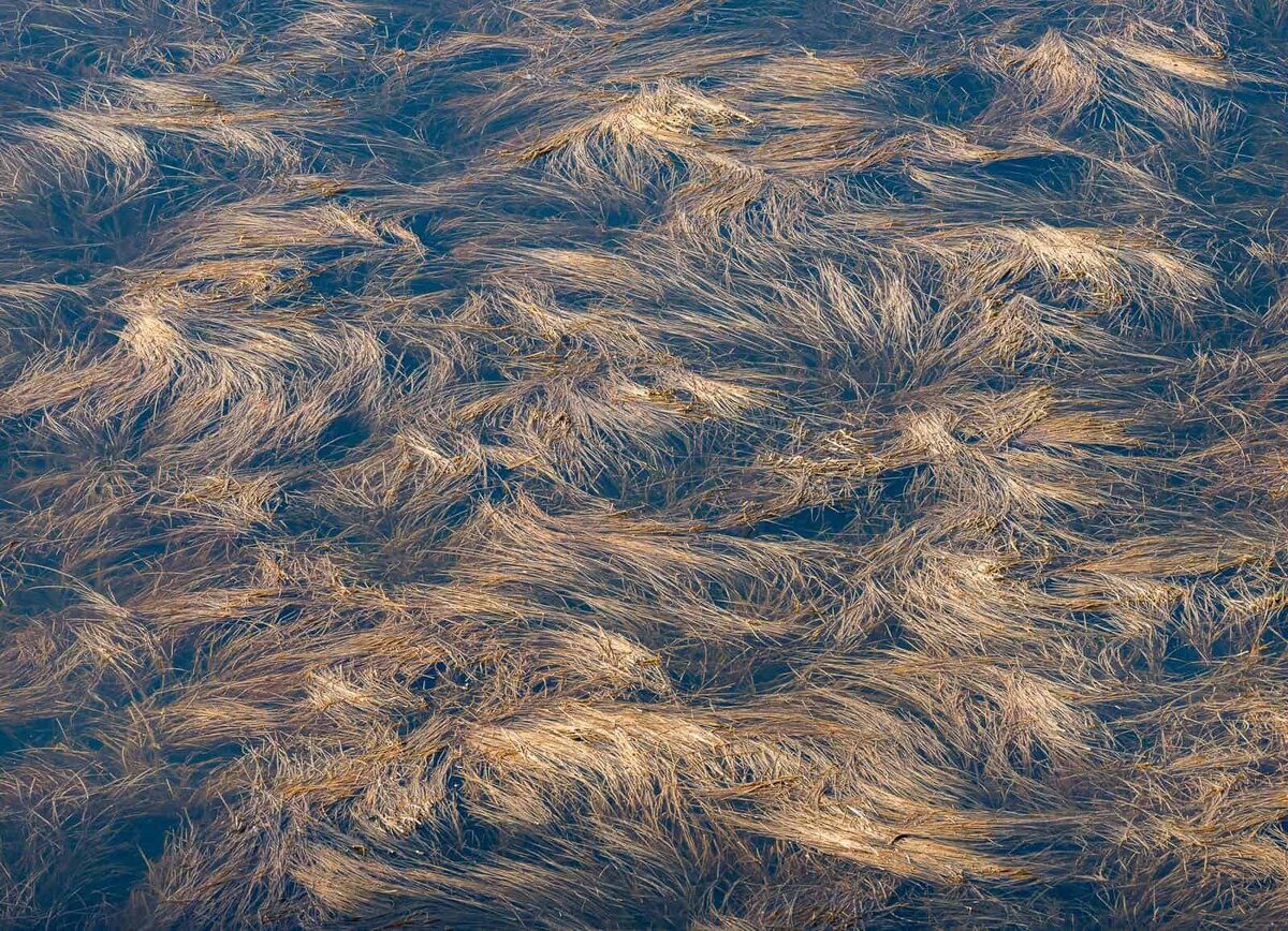    Alfredo Mora, naturallandscapeawards.com