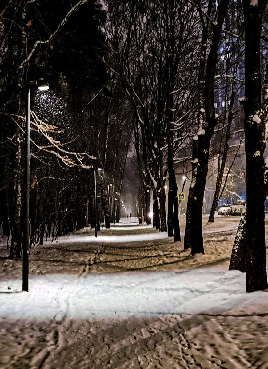 В парке в Щукино.