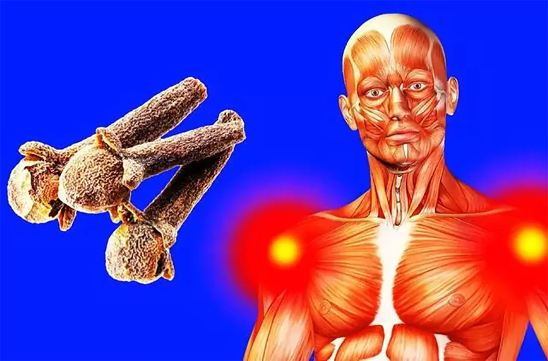 Что будет, если съедать несколько бутонов гвоздики в день? | Газета  Балаково | Дзен