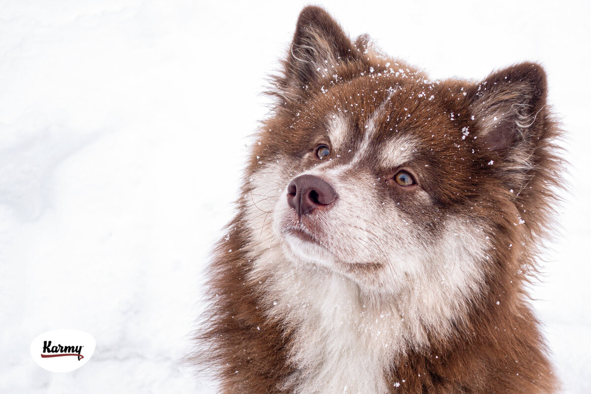 Авторское изображение с использованием картинки с фотостока "Unsplash"