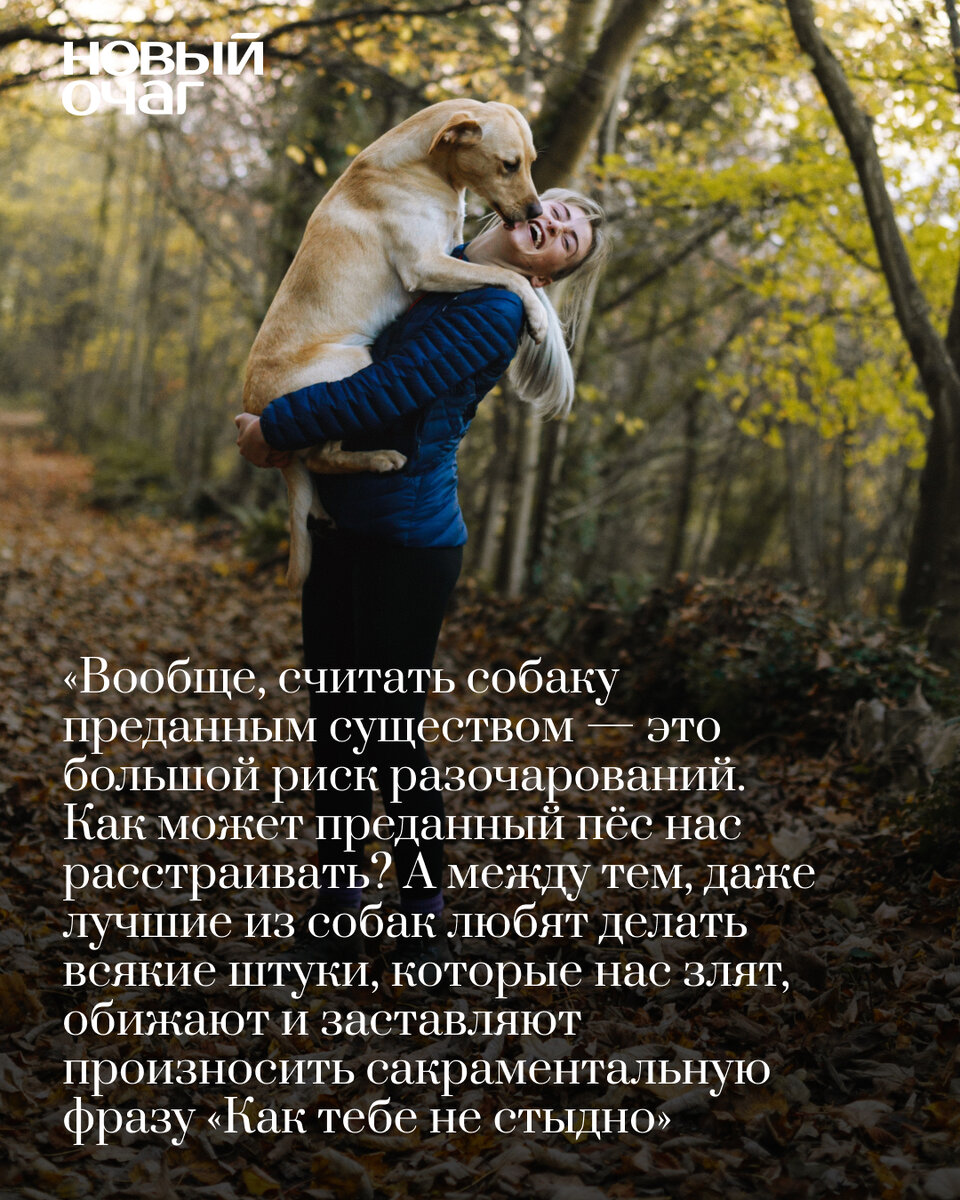 Песенка человек собаке друг