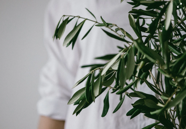 фото: unsplash.com