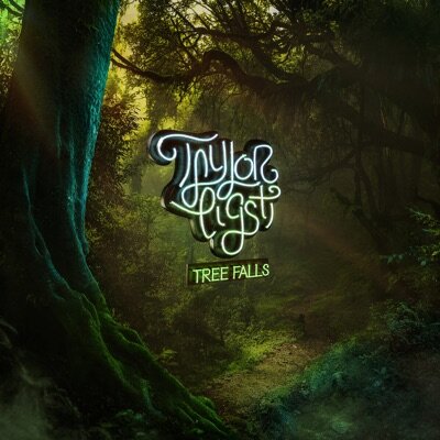Лучший современный инструментальный альбом. Tree Falls – Taylor Eigsti