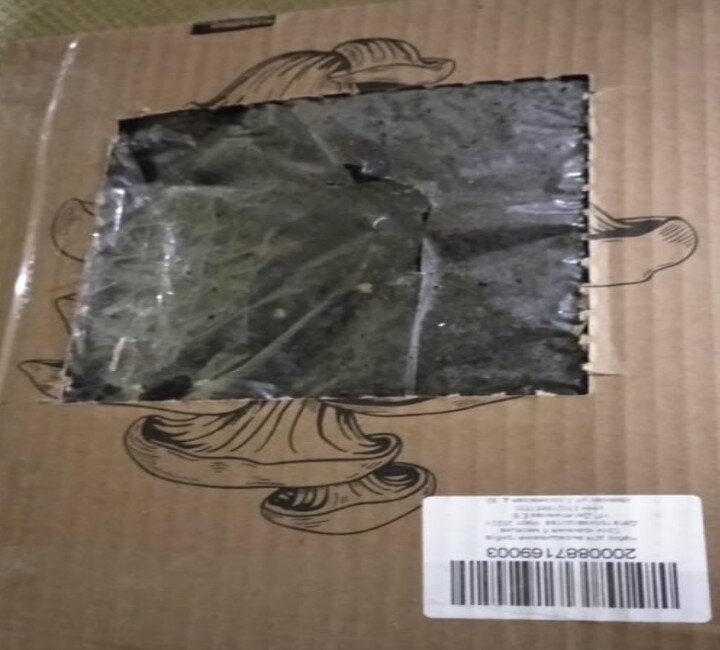 Та же коробка, в которой прислали