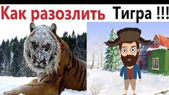 ПРИКОЛЫ! КАК РАЗОЗЛИТЬ ТИГРА!!! УГАРНЫ МЕМЫ от Доми шоу