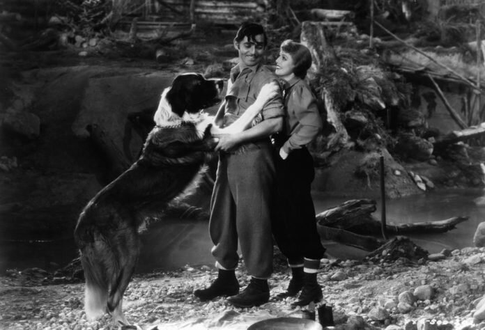 "Зов предков", кадр из фильма