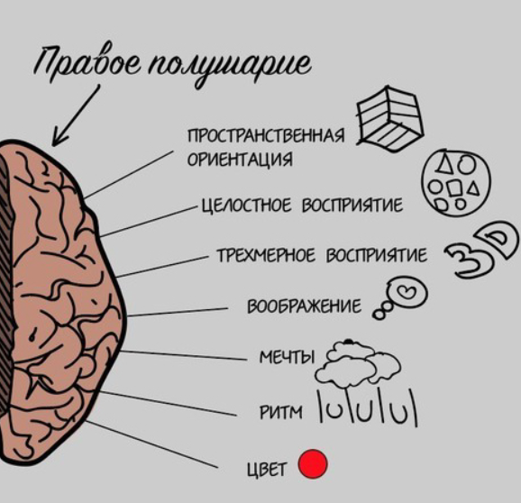 Изображение скачено с сайта:https://razvivalo4ki.ru/svyaz-raznoobraziya-igr-s-razvitiem-mozga/