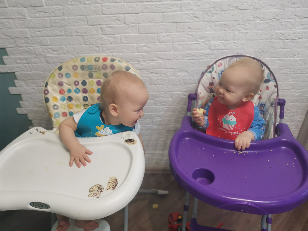 Завтракают и балуются