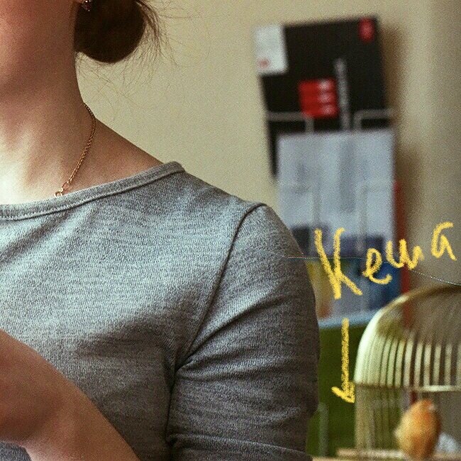 Кеша в новой клетке, снято на плёнку 35 мм