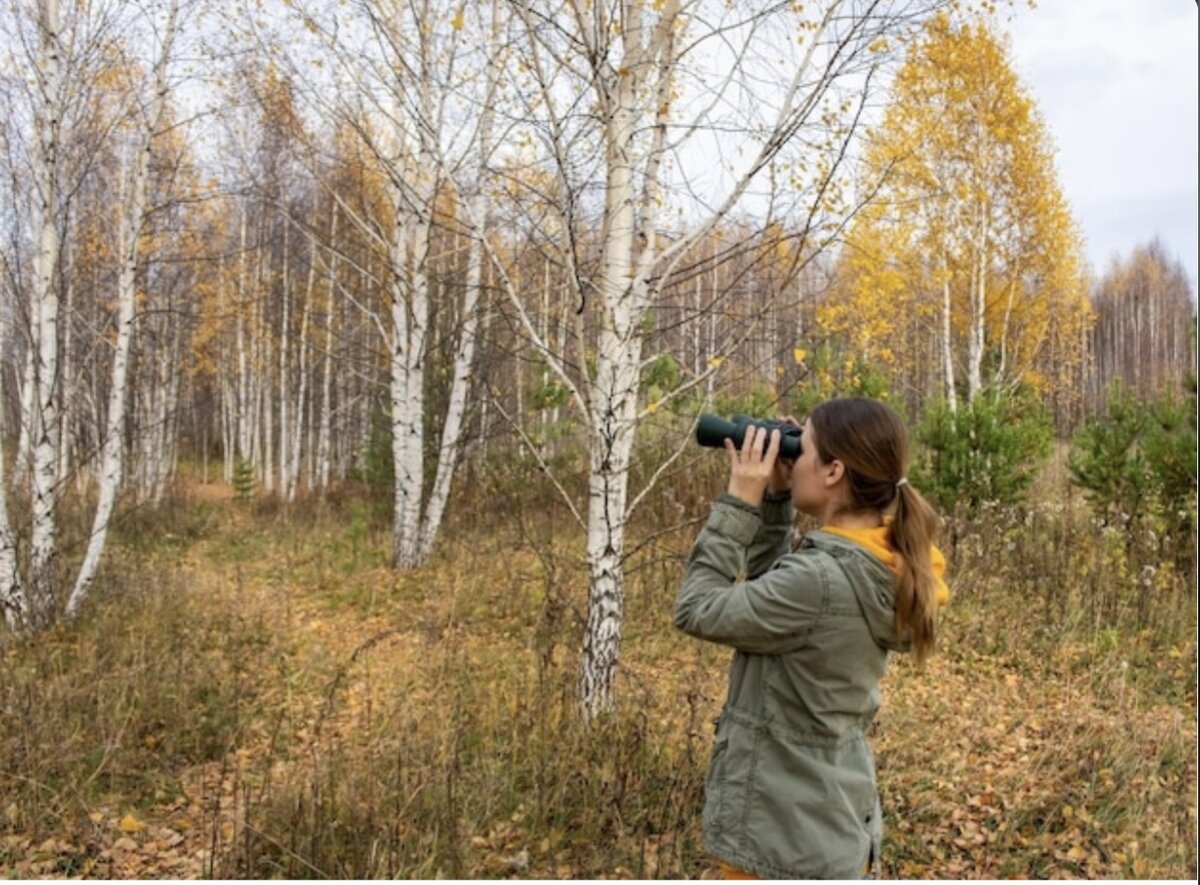 Источник freepik.com