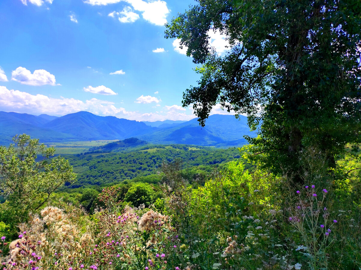 Фото автора.