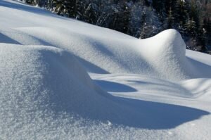    Фото: pixabay.com Роман Янышев