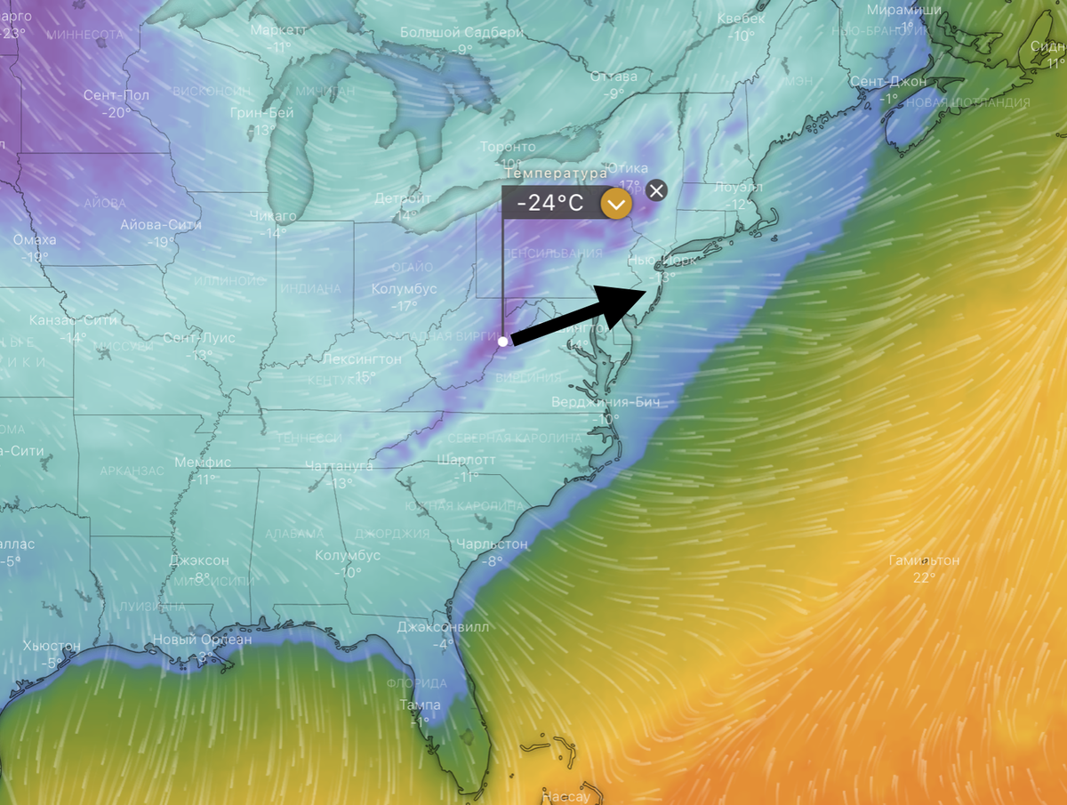 В Нью-Йорке прямо сейчас –13*С, ожидается –24. Насколько это для них аномальная погода?
