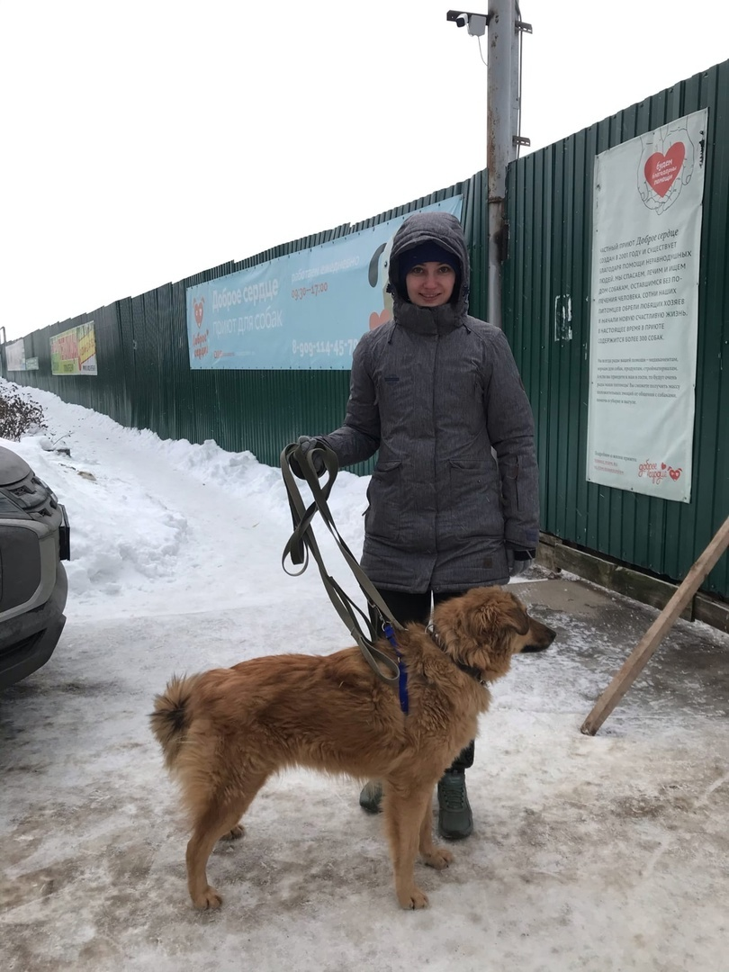 Отъезд Элли