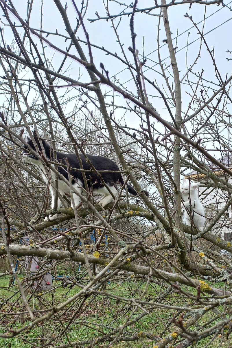 Фото из архива автора