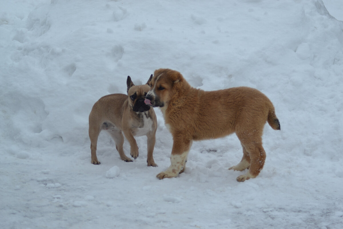 Год назад всего 