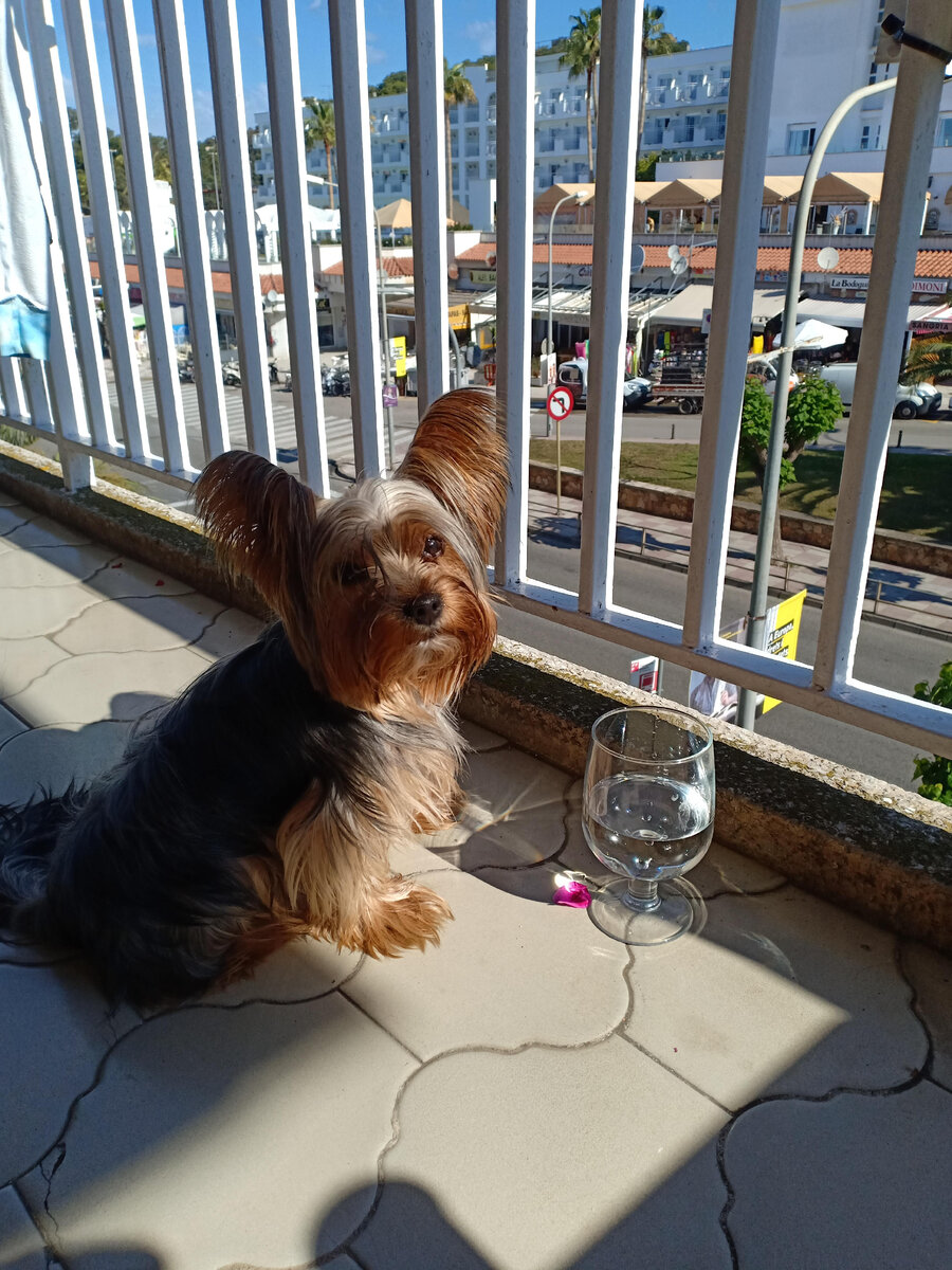 Ваше здоровье, господа !