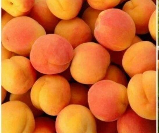 Фото из интернета