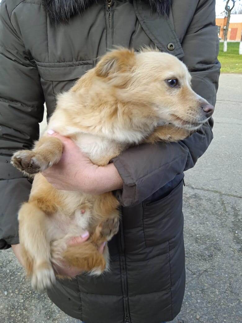 Малышу скоро найдут дом. 