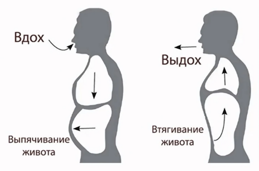 Причины черного кала у собак