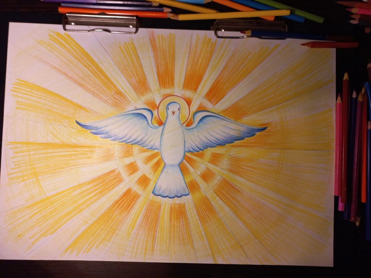  Такой голубь получится у вас!