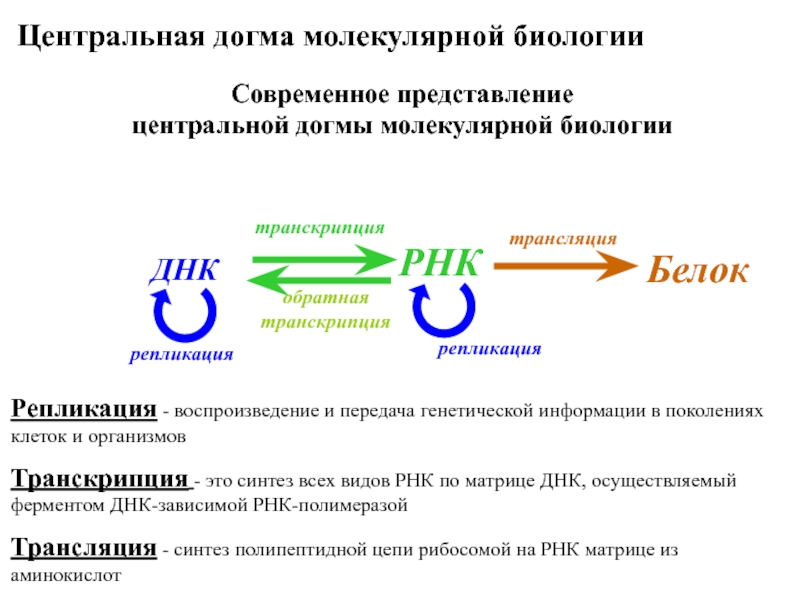 Транскрипция- это достаточно увлекательная тема, но также и достаточно сложная для понимания.-2