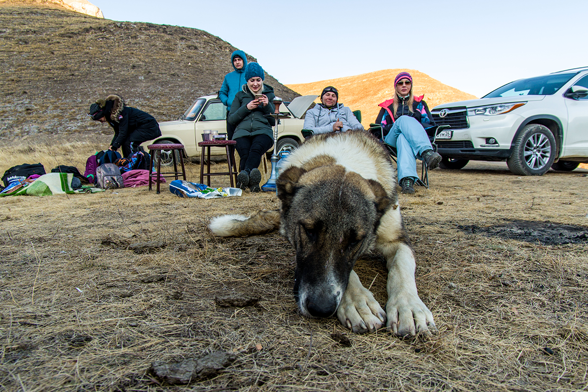 Фото: Иван Губский  