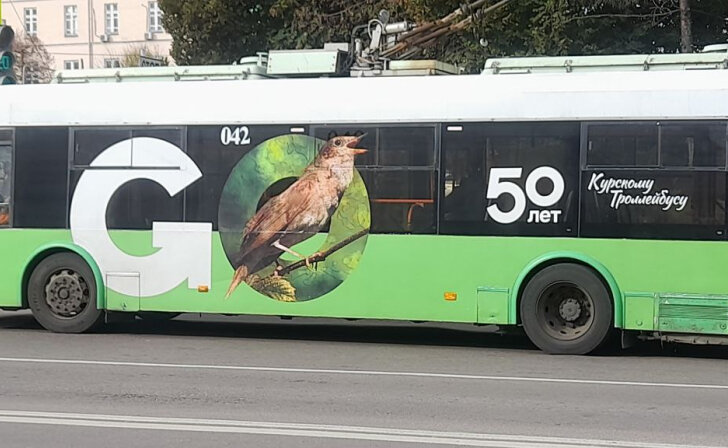    фото Курские известия