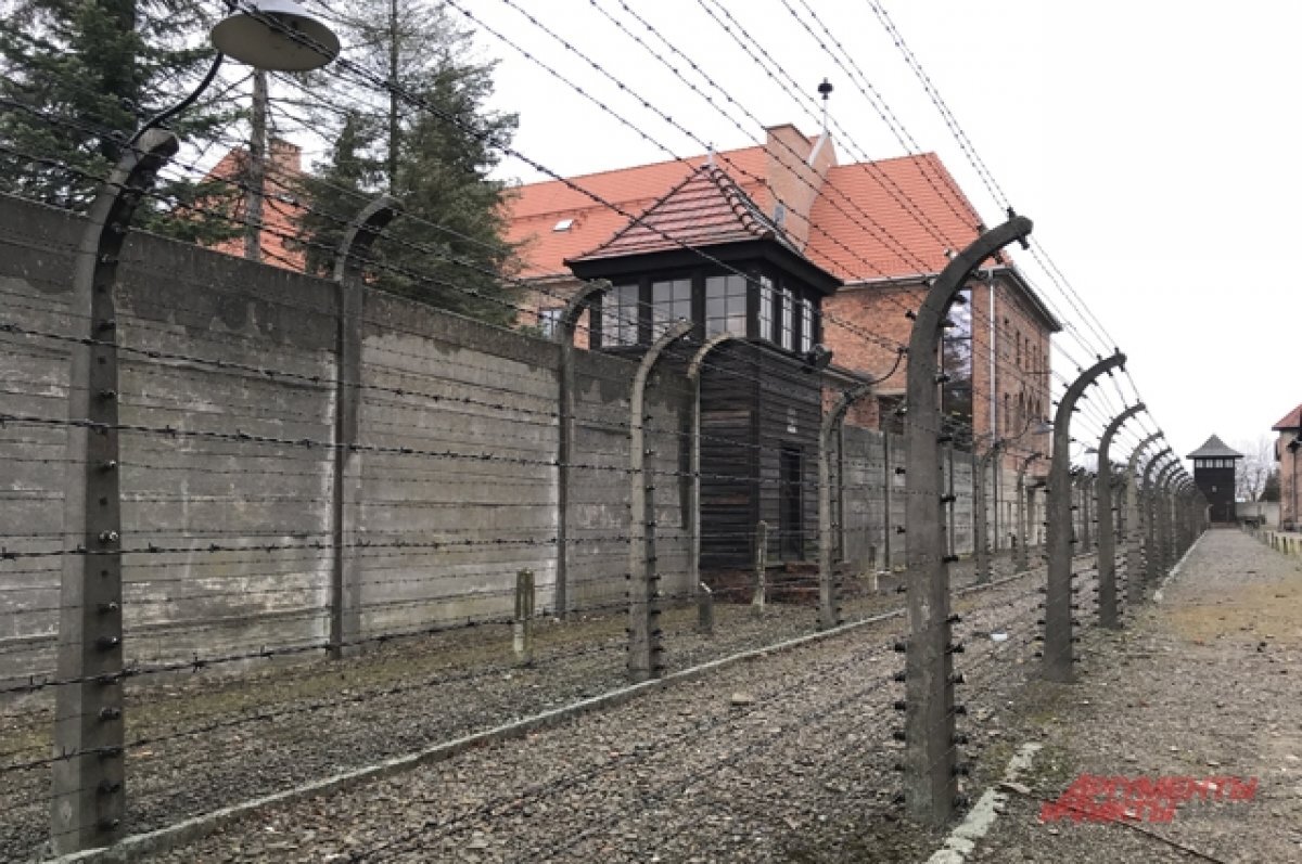    Лазар назвал унижением отказ в визите делегации РФ в Освенцим