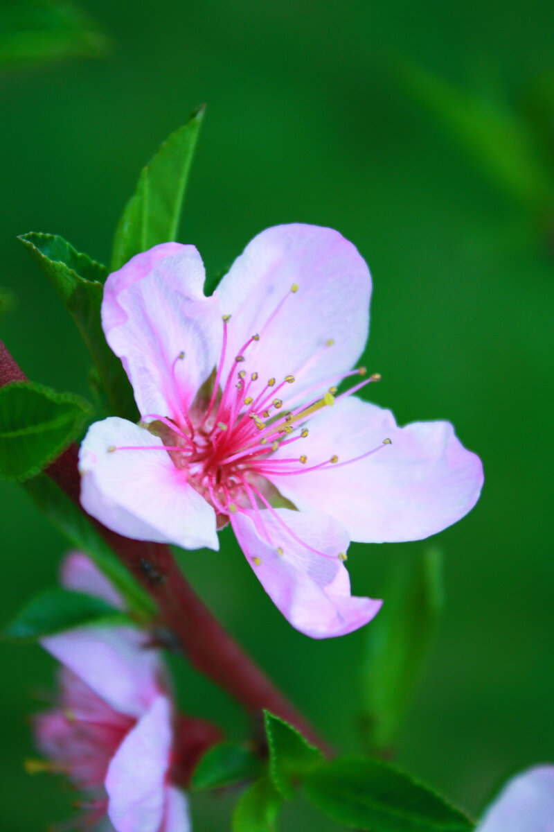 Так рождается новая жизнь весной