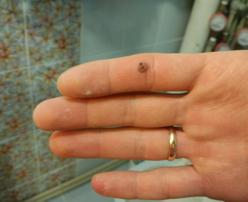 Фотография взята из источника arnfoto.ru