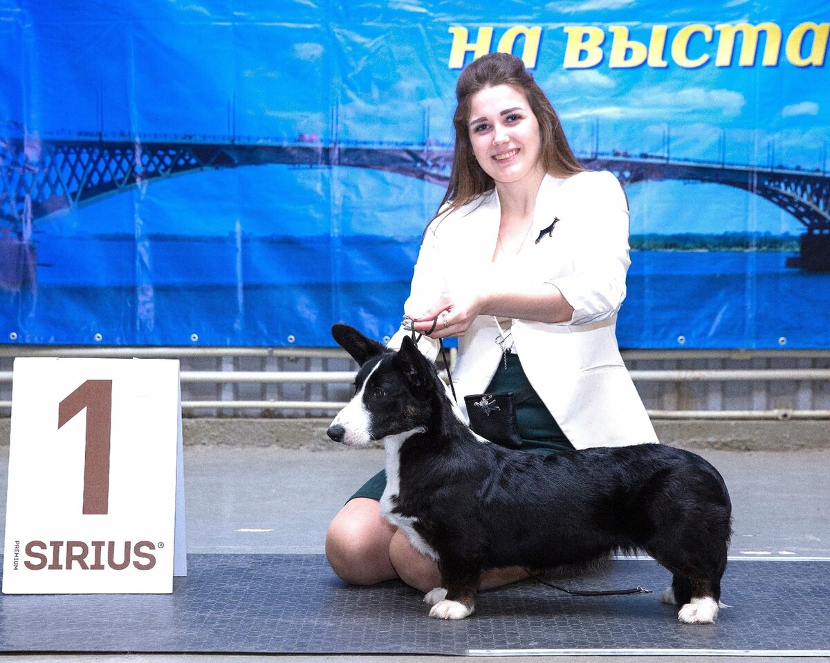 Фото из личных архивов. Хендлер Анастасия Низовцева.