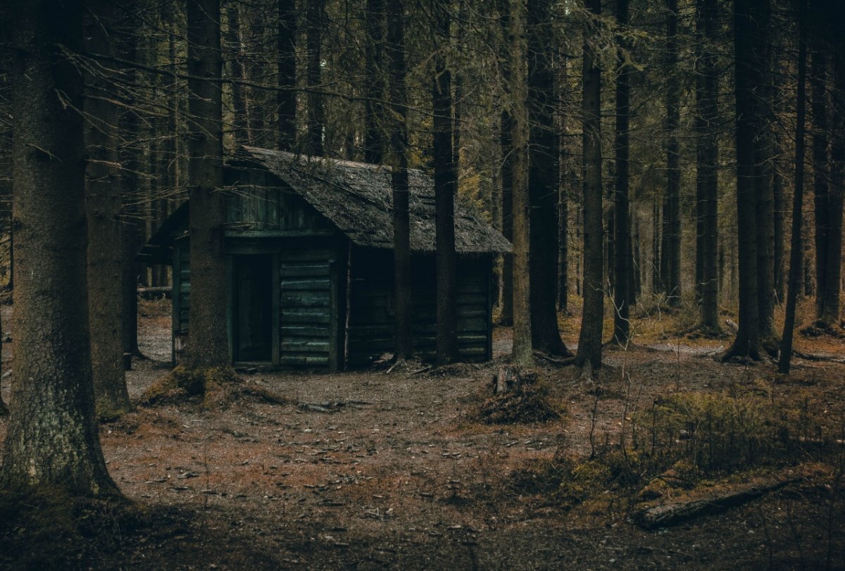 Яндекс.Картинки