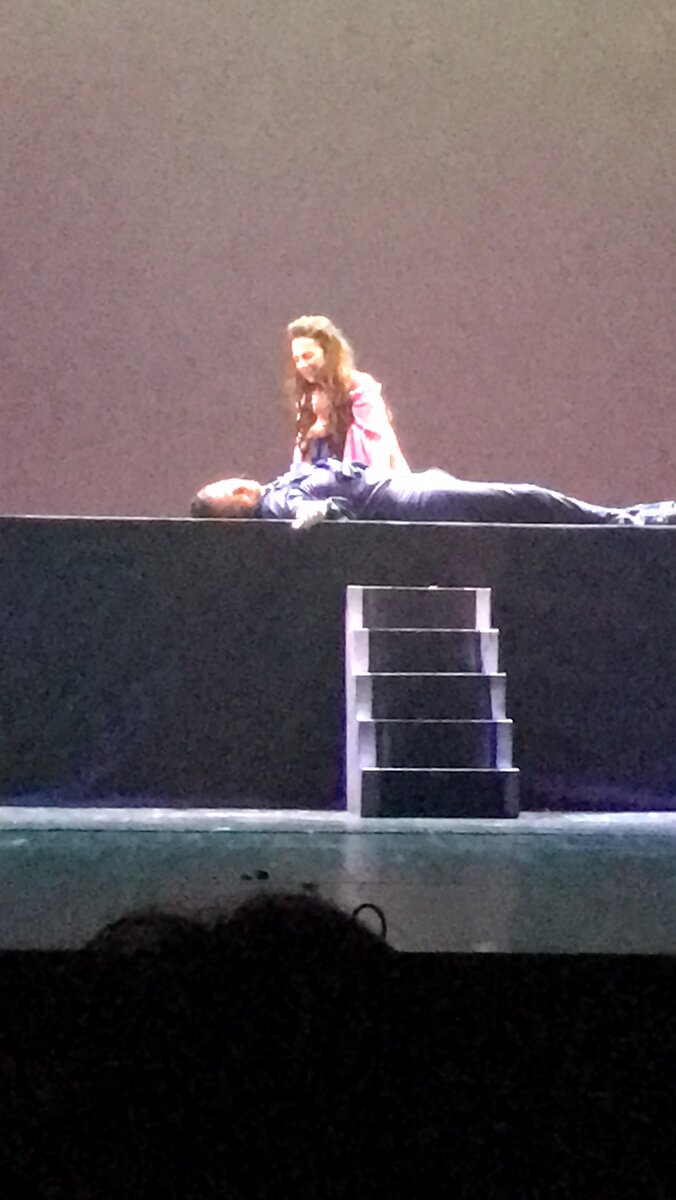 Мюзикл шоу "Нотр Дам де Пари" и "Ромео и Джульетта" | Даша. Записки ...