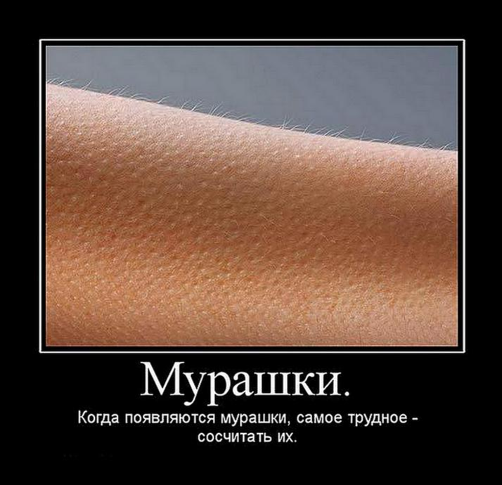 Мурашками на всю жизнь. Мурашки. Цитаты про мурашки по коже. Мурашки на коже. Мурашки высказывания