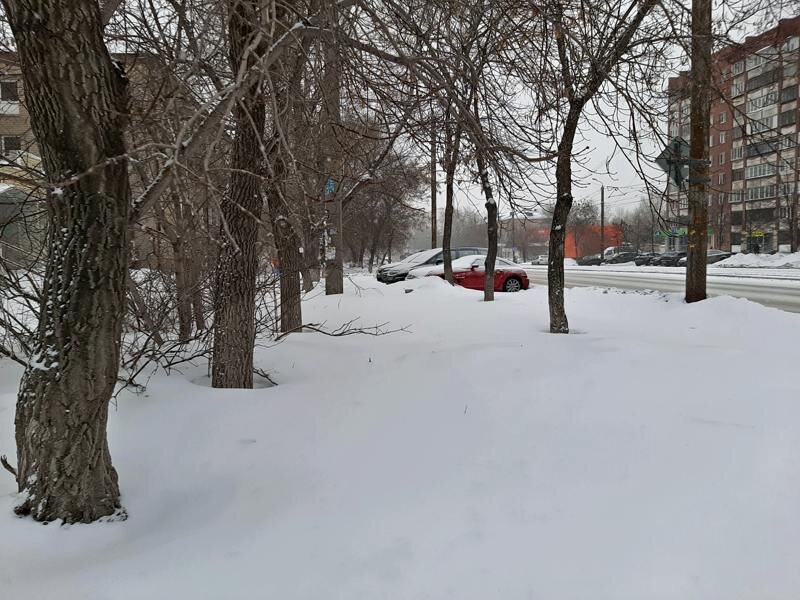 Первый день весны - с неба сыпет теплый весенний снег, можно смело сказать - теплый грибной снегопад.