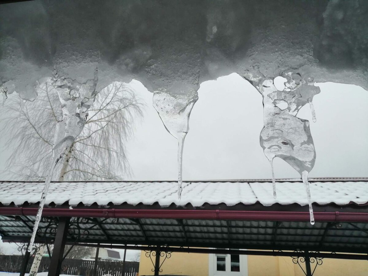 Фото автора.