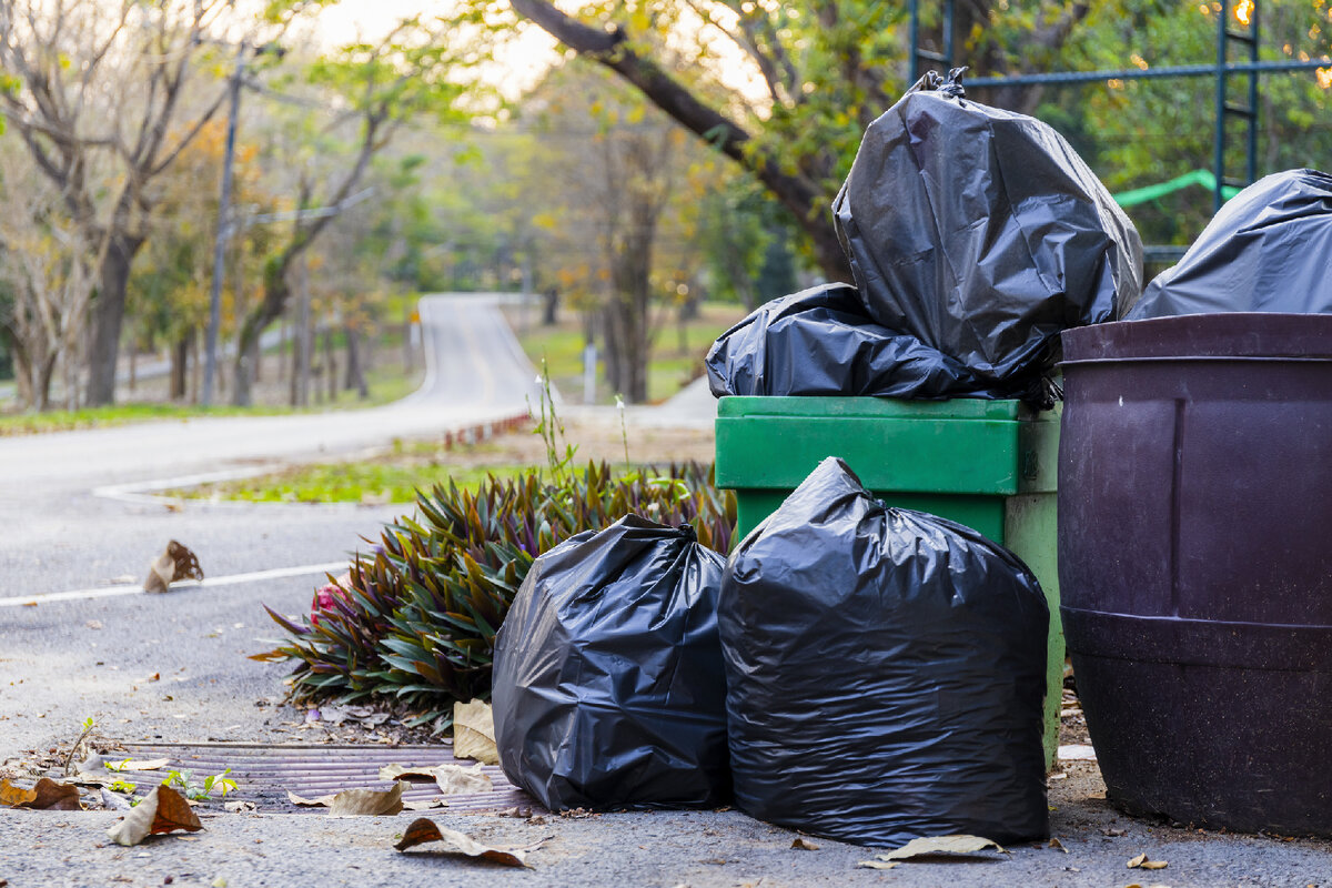   istockphoto/Memorystockphoto