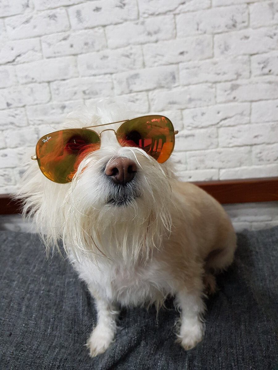 Главный декоратор квартиры