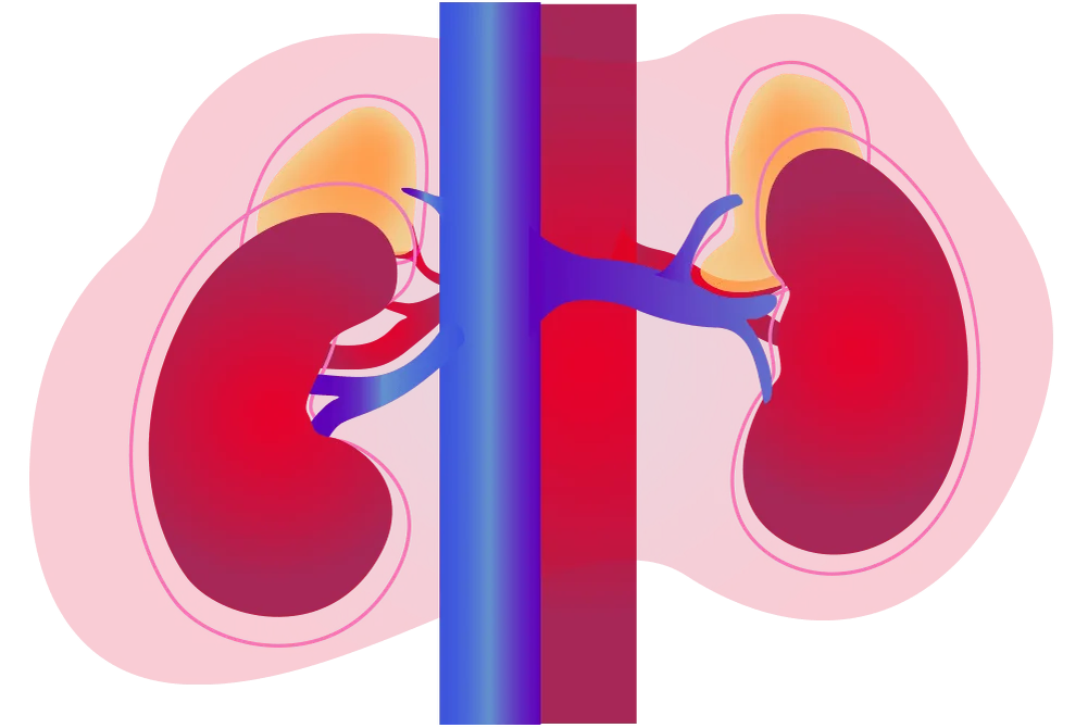 Взято из общего доступа.