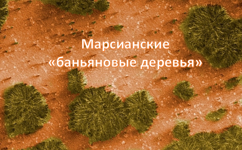 Даже писатели-фантасты не обошли своим вниманием некоторые фотографии с исследовательских станций. За 7 лет до своей смерти, Артур Кларк (автор фильма “Космическая Одиссея 2001” заметил растительность на снимках, транслируемых со станции “Марс Глобал Сервейор”.