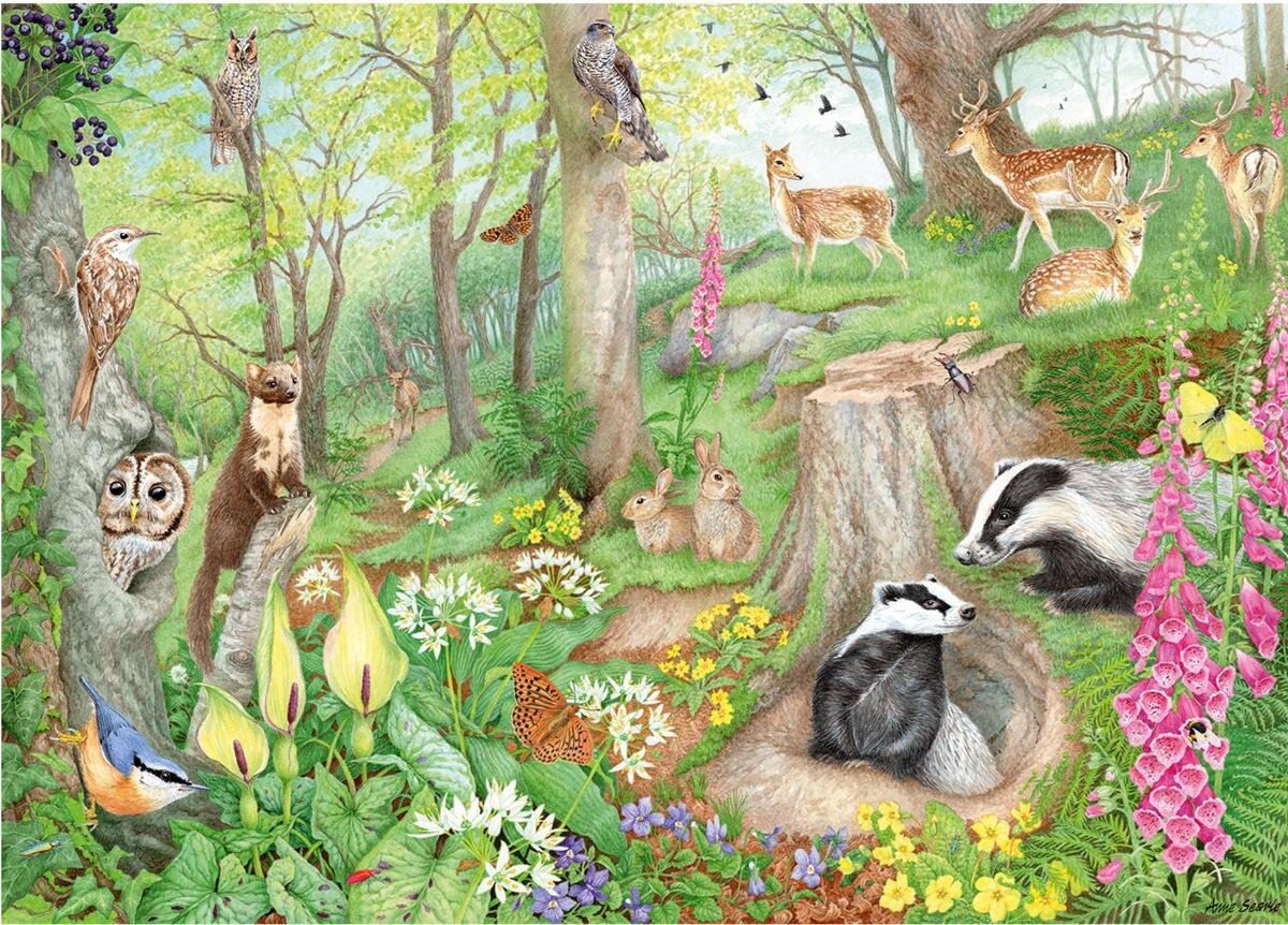 Картинка из свободного доступа