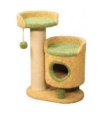 Когтеточка Пушок