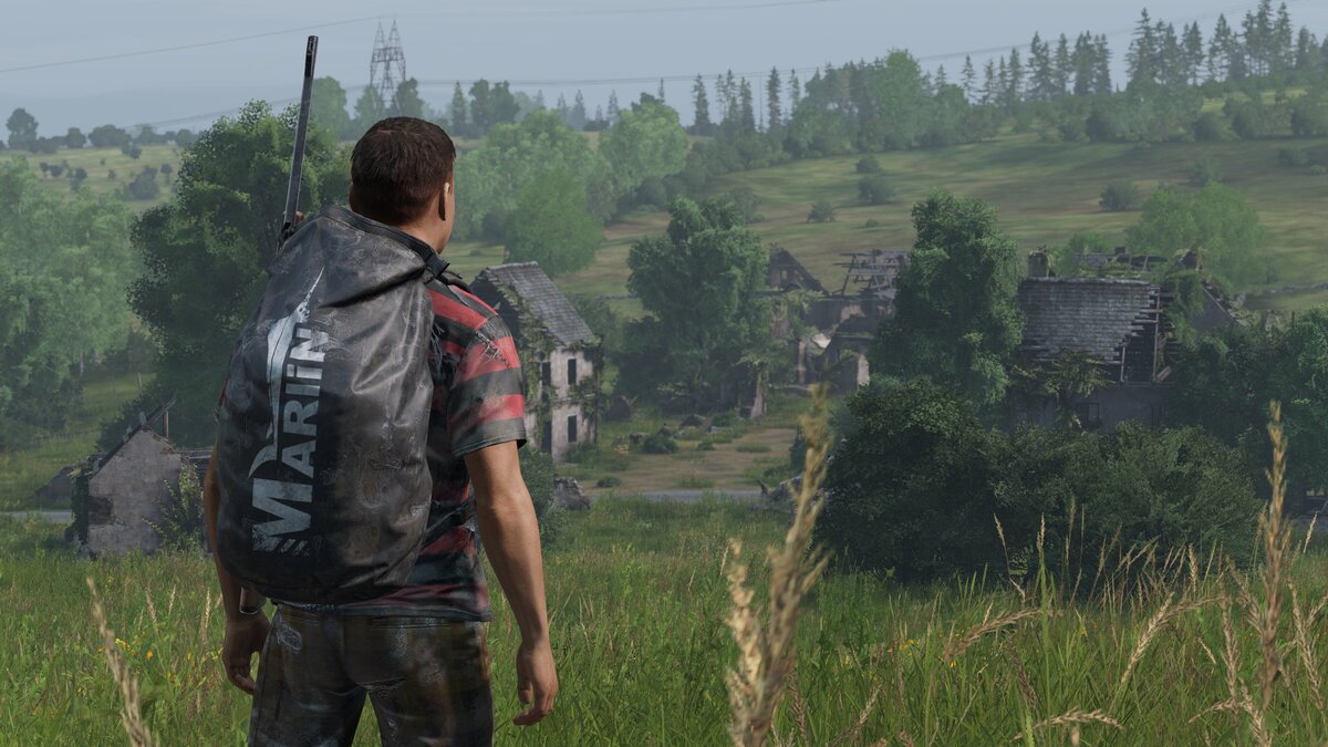 как играть dayz на steam фото 90