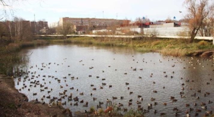    Источник: сайт нацпроекта "Жильё и городская среда"