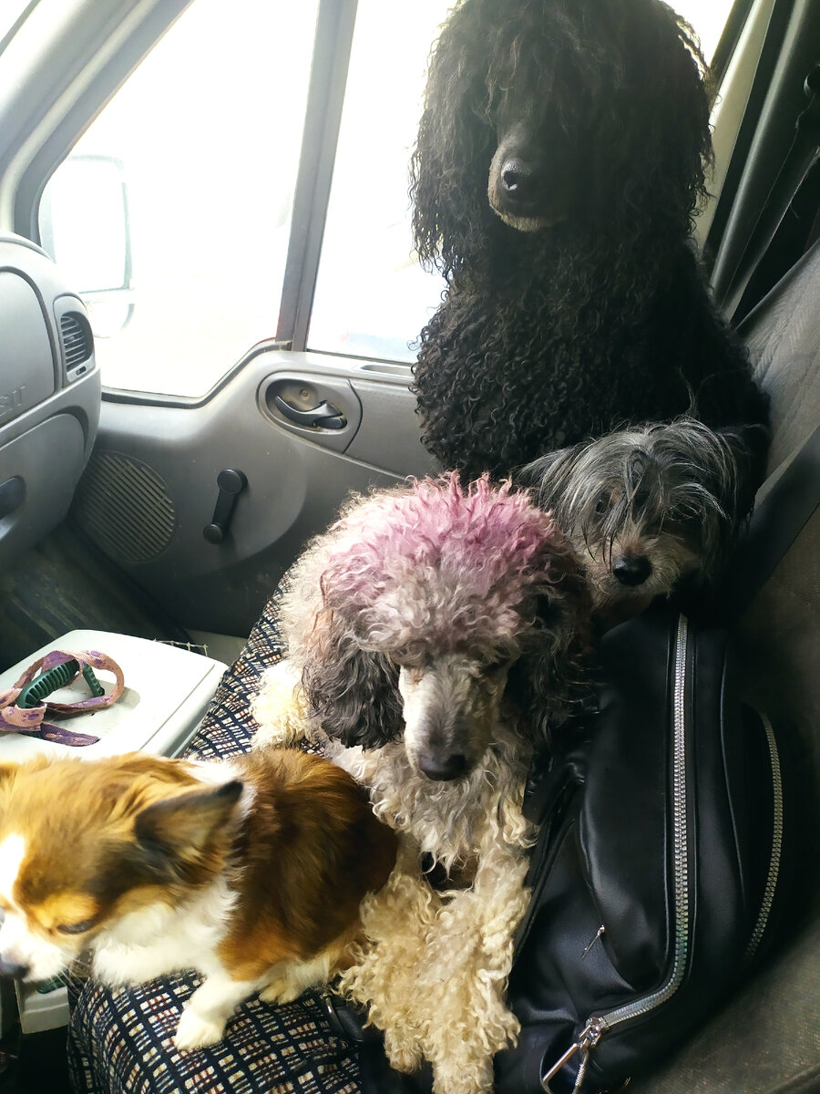 Это когда у нас всё было хорошо