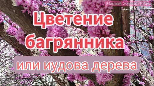 Белое вязаное платьишко с маками