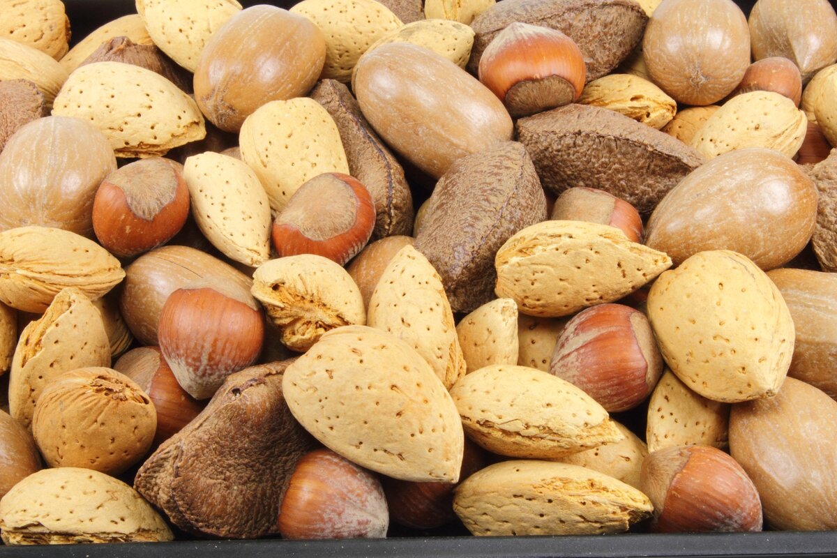 Орехи являются важным компонентом здорового питания, обеспечивая богатый источник белка, полезных жиров, клетчатки, витаминов и минералов.-3