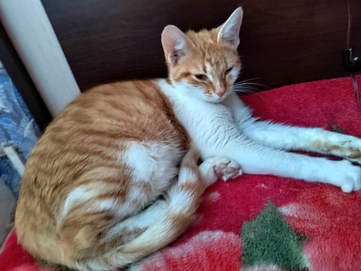 Из личного архива. Прости меня, я скучаю!