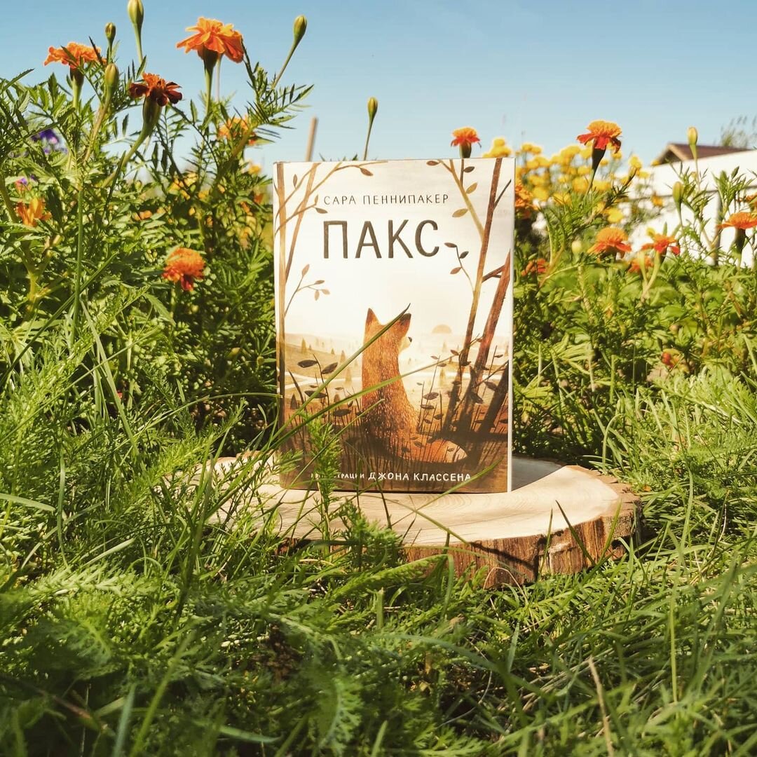 Фото @elena.derevyankina